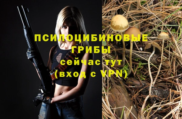 дурь Верея
