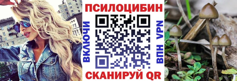 Галлюциногенные грибы Psilocybe  Златоуст 